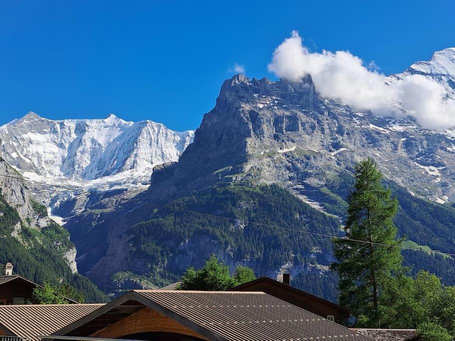 Chalet Engi Apt 1 For Up To 8 People Grindelwald Exterior foto