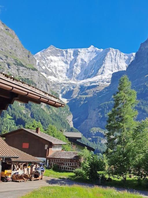 Chalet Engi Apt 1 For Up To 8 People Grindelwald Exterior foto