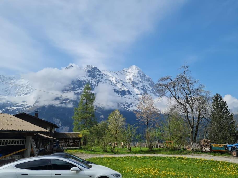 Chalet Engi Apt 1 For Up To 8 People Grindelwald Exterior foto