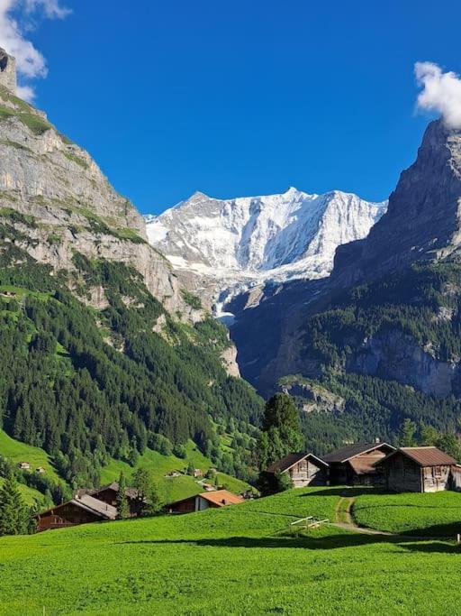 Chalet Engi Apt 1 For Up To 8 People Grindelwald Exterior foto
